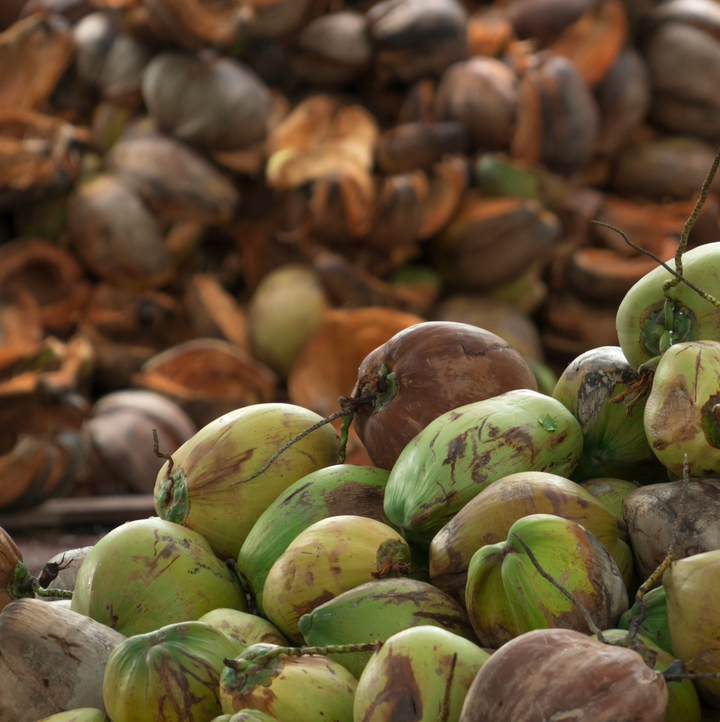 Coconut-and-its-Oil  Bettyhula